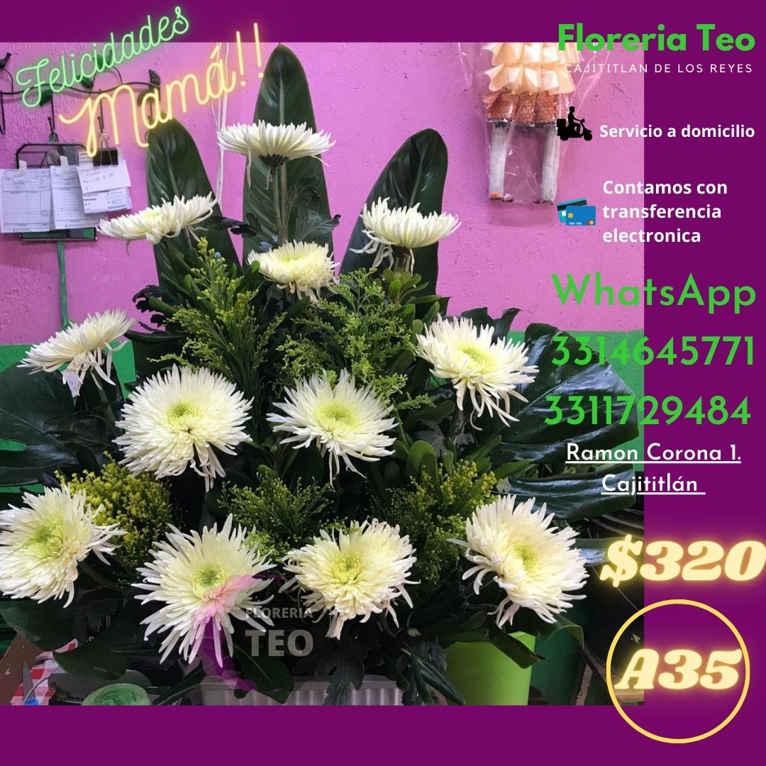 Arreglo Floral de Crisantemos Blancos. A35