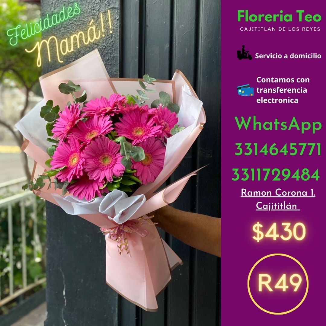 Ramo de Gerberas. R49