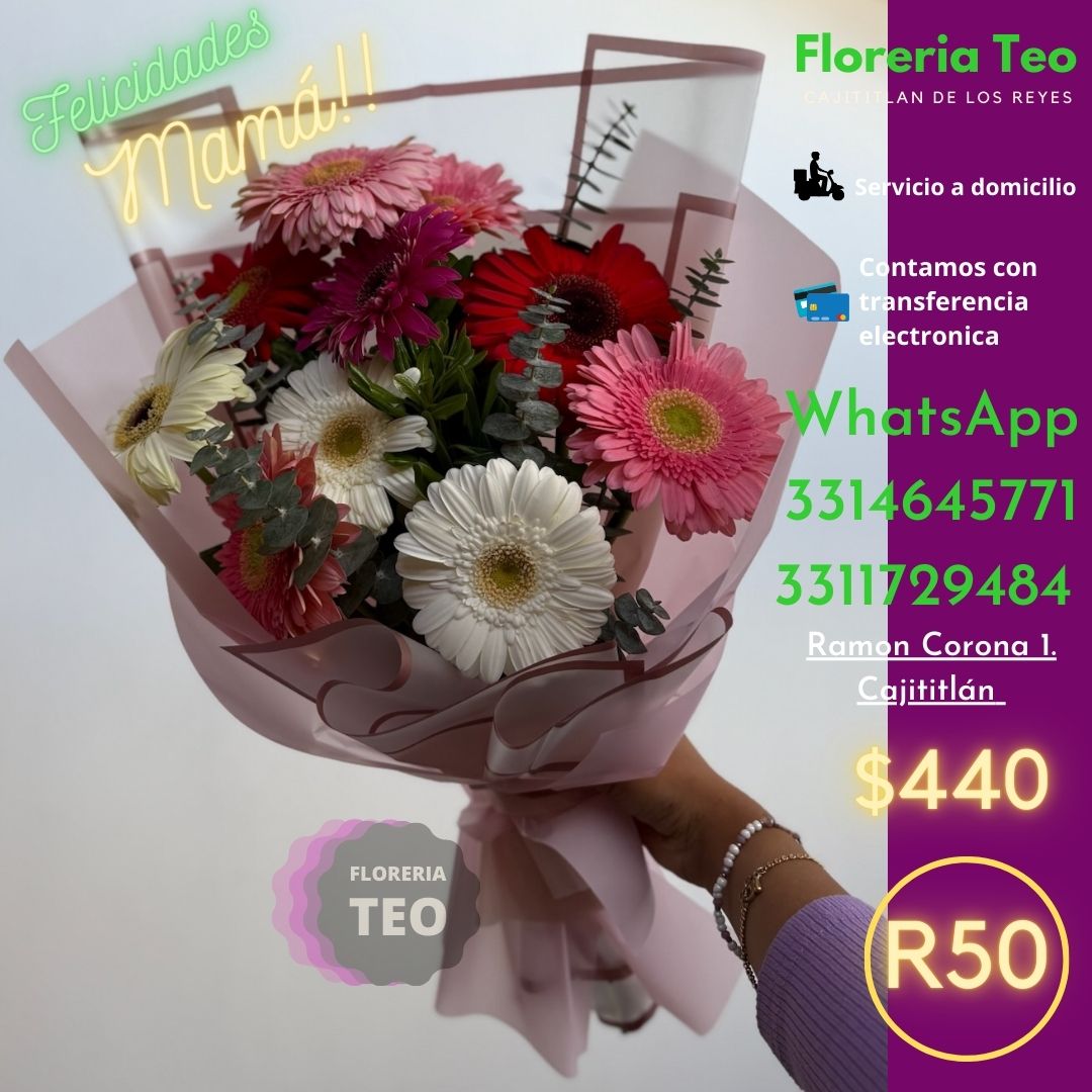 Ramo de Gerberas. R50
