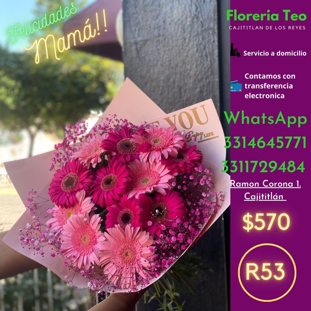 Ramo de Gerberas. R53