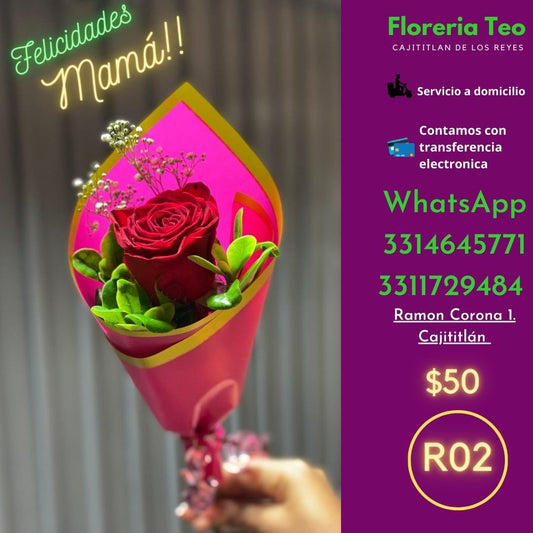 Rosa Arreglada. R02