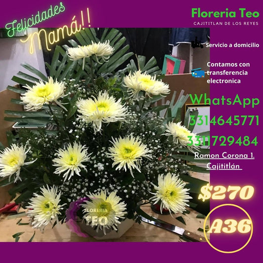 Arreglo Floral de Crisantemos. A36